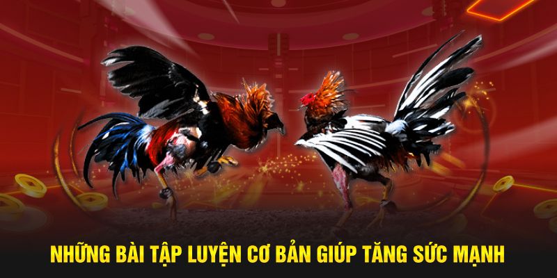 Những bài tập luyện cơ bản giúp tăng sức mạnh
